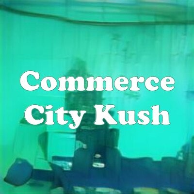 Commerce City Kush strain