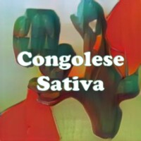 Congolese Sativa strain
