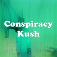 Conspiracy Kush strain