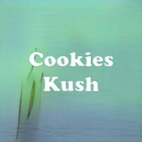 Cookies Kush strain