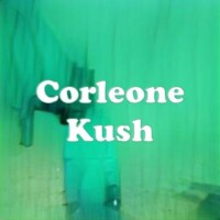 Corleone Kush strain