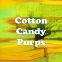 Cotton Candy Purps strain