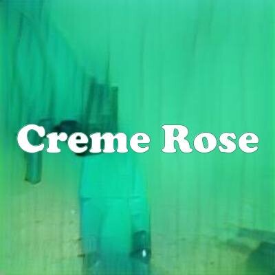 Creme Rose strain