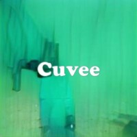 Cuvee strain