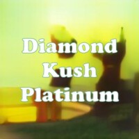 Diamond Kush Platinum strain