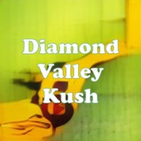 Diamond Valley Kush strain