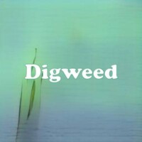 Digweed strain