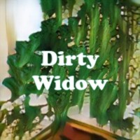 Dirty Widow strain