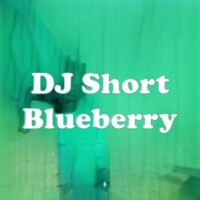 DJ Short Blueberry strain