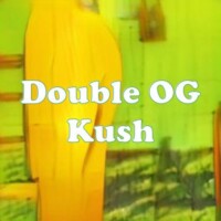 Double OG Kush strain