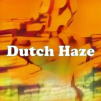 Dutch Haze strain
