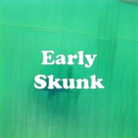 Early Skunk strain