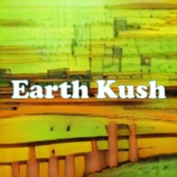 Earth Kush strain