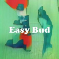 Easy Bud strain