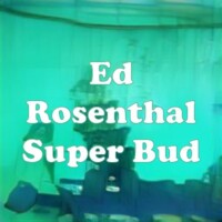 Ed Rosenthal Super Bud strain