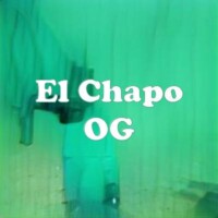El Chapo OG strain