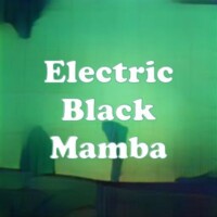 Electric Black Mamba strain