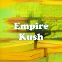 Empire Kush strain