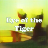 Eye of the Tiger strain