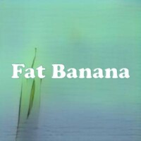 Fat Banana strain