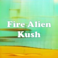 Fire Alien Kush strain