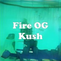 Fire OG Kush strain