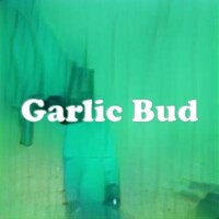 Garlic Bud strain