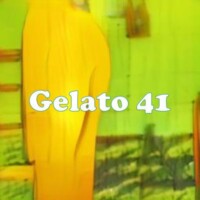Gelato 41 strain