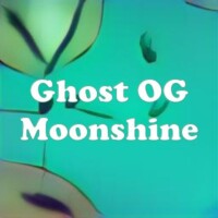 Ghost OG Moonshine strain