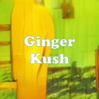 Ginger Kush strain