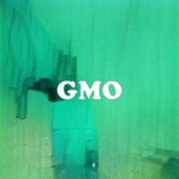 GMO strain