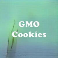 GMO Cookies strain