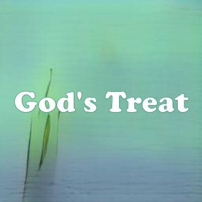 God's Treat strain