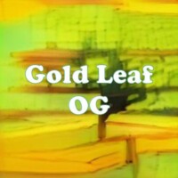 Gold Leaf OG strain