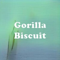 Gorilla Biscuit strain
