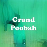 Grand Poobah strain