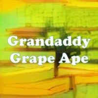 Grandaddy Grape Ape strain