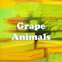 Grape Animals strain
