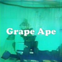 Grape Ape strain