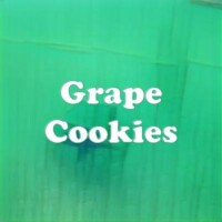 Grape Cookies strain
