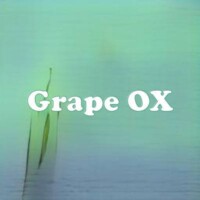 Grape OX strain