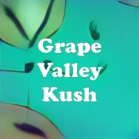 Grape Valley Kush strain