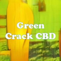 Green Crack CBD strain