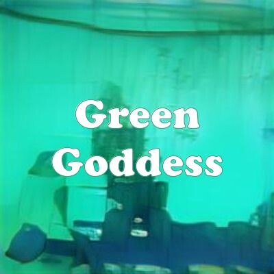 Green Goddess strain