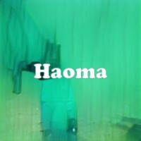 Haoma strain