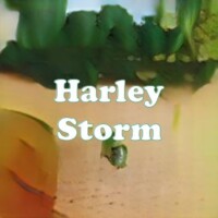 Harley Storm strain