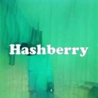 Hashberry strain