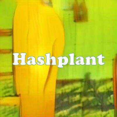 Hashplant strain