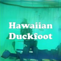 Hawaiian Duckfoot strain