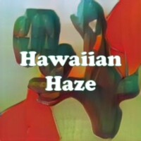 Hawaiian Haze strain